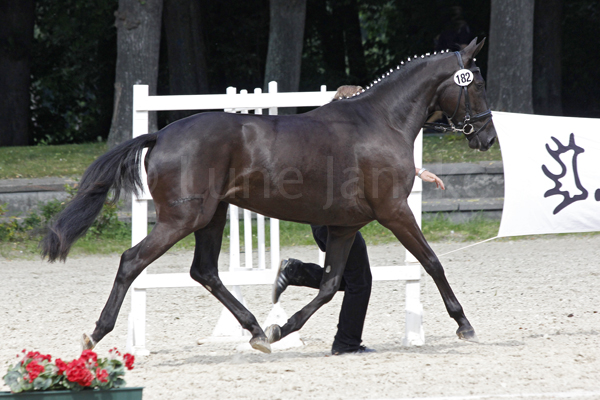 Golden Girl © Lune Jancke